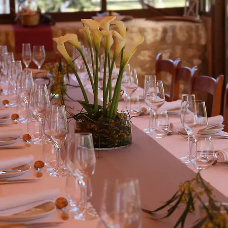 Canals & Farm stay Campos (Mallorca)